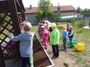 Zakládáme bylinkovou zahrádku